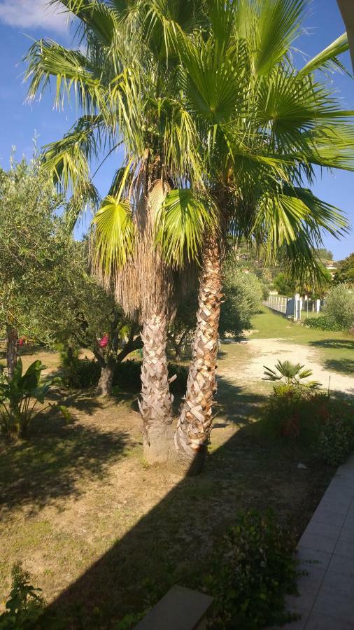 Villa La Scogliera Del Capo Santa Maria  Exterior foto